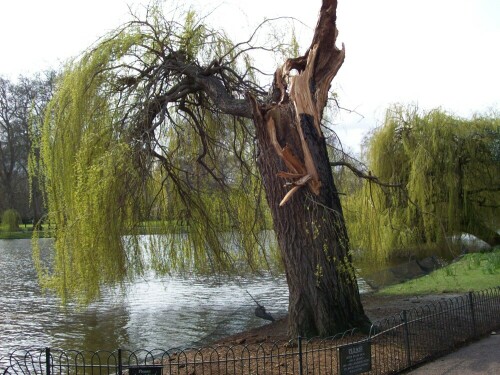 

Aufnameort: London Hyde Park
Kamera: Koakak EasyShare C613