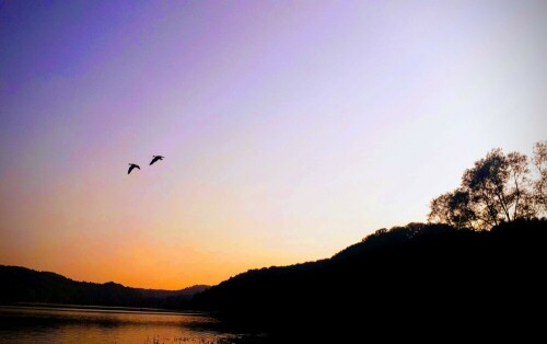 Vögel am Abendhimmel

Aufnameort: Edersee
Kamera: Smartphone