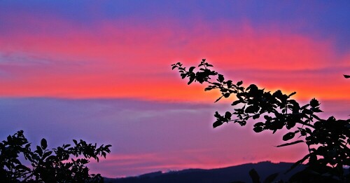 abendstimmung-im-dietzholztal-august-2017-00-19462.jpeg