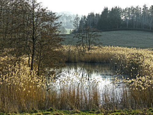 

Aufnameort: Scheerweiher
Kamera: Panasonic Lumix FZ150