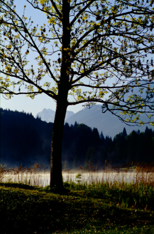 

Aufnameort: Geroldsee Oberbayern
Kamera: Nikon FM2