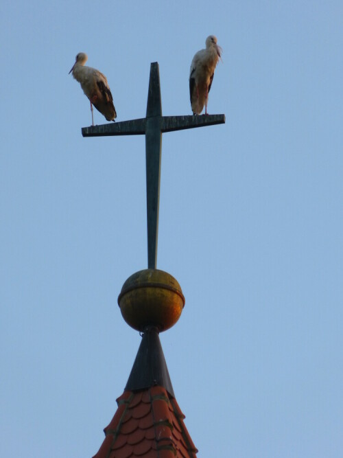 

Aufnameort: Weidenbach Mittelfranken
Kamera: Panasonic Lumix FZ150