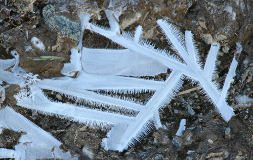 Eis mit Raureif - auch Natur zeigt sich manchmal künstlerisch.
https://de.wikipedia.org/wiki/Eis
https://de.wikipedia.org/wiki/Raureif

Aufnameort: Feldweg zwischen Simmersbach und Eiershausen
Kamera: Canon EOS 700 D