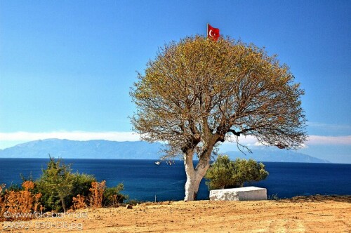 Aussichtspunkt an der Ägäis in der Nähe des Ferienzentrums Gümüldür (Türkei)

Aufnameort: Gümüldür (Türkei)
Kamera: Nikon D 90