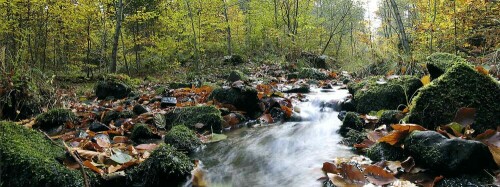 waldbach im herbst - panorama

Aufnameort: deister
Kamera: powershot pto 1