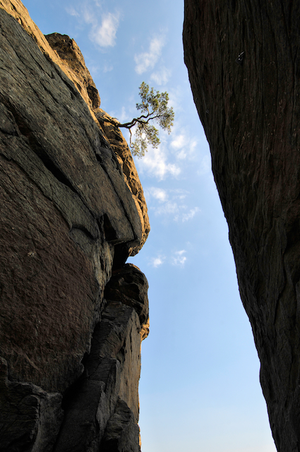 Zwischen zwei Felsen. Die Abendsonne zeichnete sich nur mehr am oberen Rand des einen Felsen ab. Ein Spiel aus Licht und Schatten.

Aufnameort: Österreich
