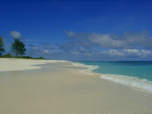 Strand auf Bird, schneeweiss und traumhaft schön und heiss !!

Aufnameort: Bird Island
Kamera: Casio