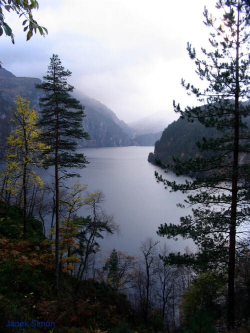 Wer in Norwegen entlang der Fjorde fährt, muss öfter mitten auf der Landstraße anhalten. Die immer wieder neuen Aussichten auf die Fjordlandschaft sind einfach zu schön, um nur kurz daran vorbei zu fahren, wie z.B. hier am Sognefjord.

Aufnameort: Sognefjord Norwegen
Kamera: Canon PowerShot A610