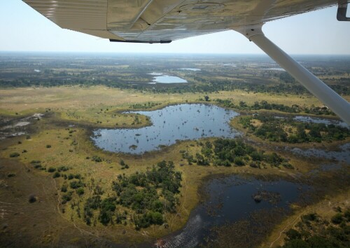 Das Bild entstand bei einem Rundflug von Maun über das Okavango Delta.

Aufnameort: Okavango-Delta - Botswana
