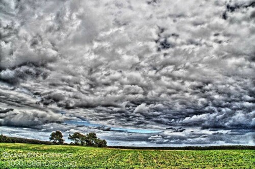 Herbstlich wolkenverhangene Feldlandschaft am Rand des Naturparks Schlaubetal.

Aufnameort: Henzendorf
Kamera: Nikon D 90