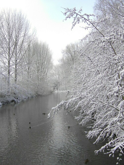 Winterlandschaft in Stadtlohn

Aufnameort: Stadtlohn
Kamera: AL 530 zoom Kamera