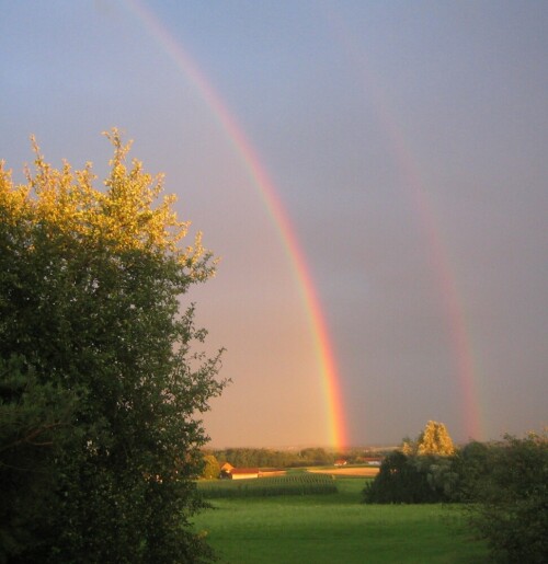 doppelter Regenbogen vor regenverhangener Bergkulisse.
Sonnenuntergang im Regen

Aufnameort: Tulling
Kamera: CANON EOS 300D