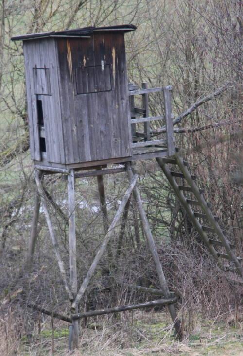 Hochsitze werden zur Beobachtung wie ggf. auch zur Jagd von Wild im Forst genutzt.
https://de.wikipedia.org/wiki/Hochsitz

Videoclip zum Hochsitzbau:
https://www.youtube.com/watch?v=w5y2KXqFl20&list=PLEbrP1WtAVwslgUz_qmXgEnO5WCRQqNv1

Aufnameort: Simmersbach im Südosten
Kamera: Canon EOS 700 D