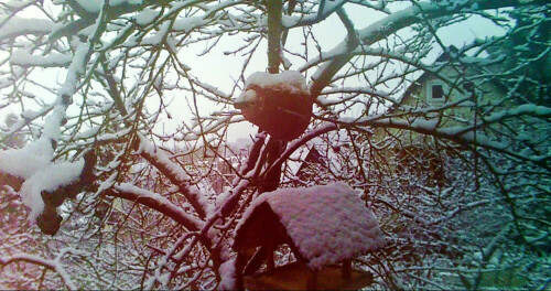 Eine Vogelfütterung soll die sie besuchende Vogelwelt im Winter zusätzlich mit Futter versorgen.
https://de.wikipedia.org/wiki/Winterf%C3%BCtterung

Aufnameort: Eiershausen Garten
Kamera: Medion Camcorder