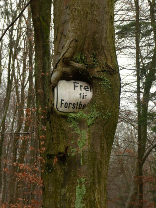 

Aufnameort: Schwäbischer Wald
Kamera: Panasonic Lumix TZ2