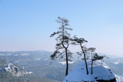 Der Baum steht auf einem der vielen Felsen an der Bastei. 
Winter, 22.01.2016

Aufnameort: Bastei, Elbsandtsteingebirge
Kamera: Sony SLT A 77 II