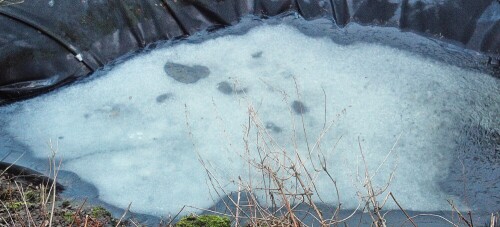 Auch Eis im Tümpel im Garten beginnt am Rande zu tauen.
https://de.wikipedia.org/wiki/Eis

Aufnameort: Eiershausen Garten
Kamera: Canon EOS 1300D