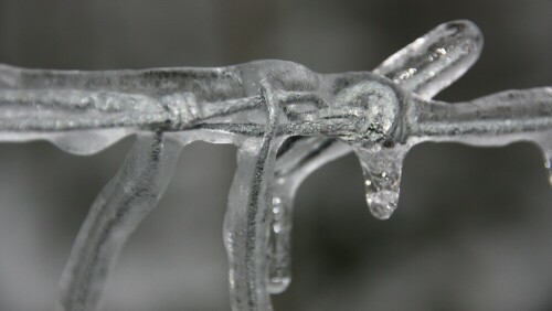 eine Umzäunung im Wald nach dem Eisregen

Aufnameort: Neunkirchner Höhe - Odenwald
Kamera: Canon 450 D