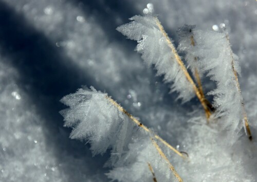 Beim Winterspaziergang entdeckt.

Aufnameort: Modautal-Neunkirchen
Kamera: Canon 450D