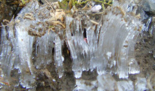 Bei Bodenfrost kann auch das im Boden enthaltene Wasser gefrieren.
In Form von Eisnadeln kann es hierbei zu kleinen Bodenhebungen kommen - Vorboten einer "Bodenlockerung."

Aufnameort: Eiershausen Garten
Kamera: Medion Digitaler Full-HD-Camcorder mit Touchscreen