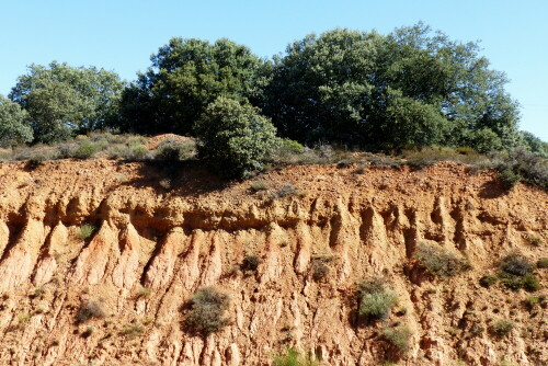 

Aufnameort: am Jakobsweg in Spanien
Kamera: Panasonic Lumix FZ 200