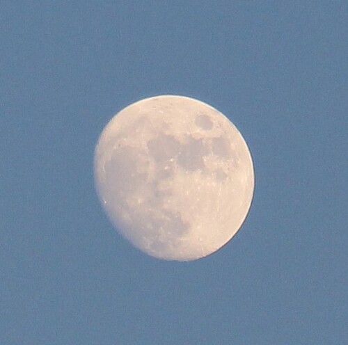 Je nach astronomischer Stellung von Sonne, Mond sowie Erde kann der Mond auch im Winter ggf. sogar tagsüber noch am Himmel gesichtet werden.
https://de.wikipedia.org/wiki/Mond

Aufnameort: Eiershausen Friedhof
Kamera: Canon EOS 700D