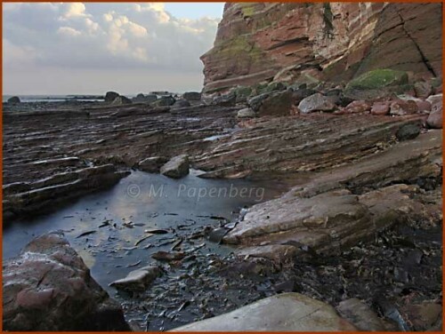 gezeitentümpel mit laminarien

Aufnameort: helgoland
