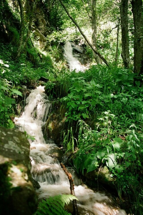 Dieses Foto entstand bei einer Wanderung auf dem Meraner Höhenweg bei Algund (Südtirol).\r\n\r\nMit Langzeitbelichtung auf Stativ.\n\nAufnameort: Meraner Höhenweg\nKamera: Canon EOS