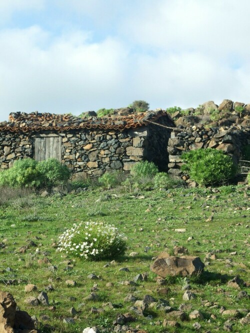 

Aufnameort: La Gomera / Kanarische Inseln
Kamera: Fuji 6500fd