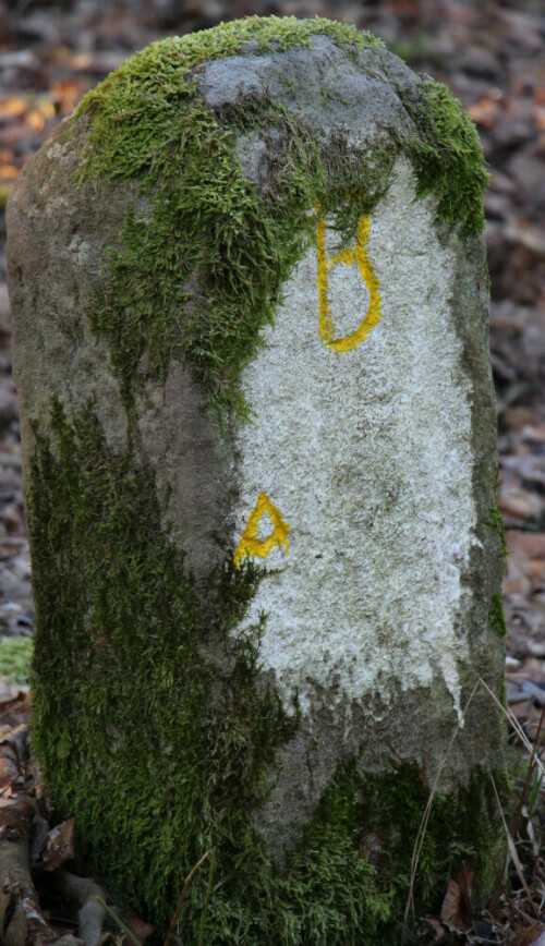 Grenzsteine als Zeugen mancher Grenzstreitigkeit nicht nur in der Vergangenheit!
https://de.wikipedia.org/wiki/Grenzstein

Aufnameort: Eiershausen im Norden
Kamera: Canon EOS 700 D