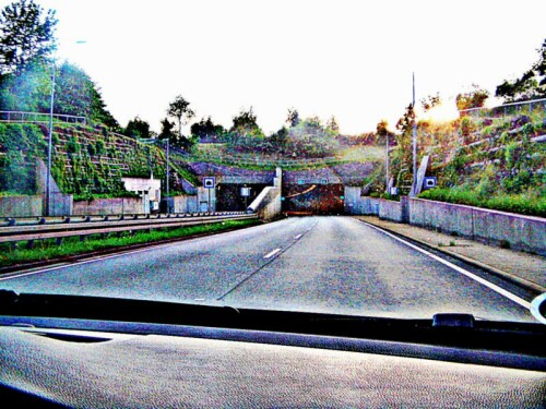 Eine Grünbrücke kann auch zur Vernetzung von Naturschutzgebieten an Bedeutung erlangen.
https://de.wikipedia.org/wiki/Gr%C3%BCnbr%C3%BCcke
https://de.wikipedia.org/wiki/Gr%C3%BCnbr%C3%BCcke#/media/Datei:Gr%C3%BCnbr%C3%BCcken_%C3%BCber_Autobahnen_und_Bundesstra%C3%9Fen_in_Deutschland.png

Aufnameort: Harz
Kamera: Medion Camcorder