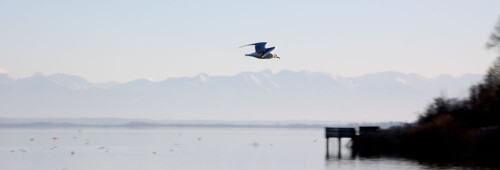 Ammersee im Februar 2008

Aufnameort: Ammersee
Kamera: Nikon D40