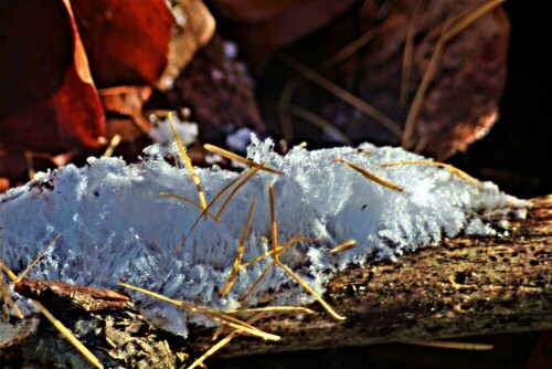 Haareis soll durch gefrorene Atemgase holzzersetzender Pilze entstehen können.
https://de.wikipedia.org/wiki/Haareis

Aufnameort: Hirschbergwald
Kamera: Canon EOS 1300D