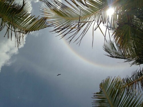 DiesesBild hat mir meine Tochter aus ihrem Urlaub in Mexico gesendet und mir erlaubt, es in natur.de einzustellen

Aufnameort: Mexico, Yucatan
Kamera: iphone