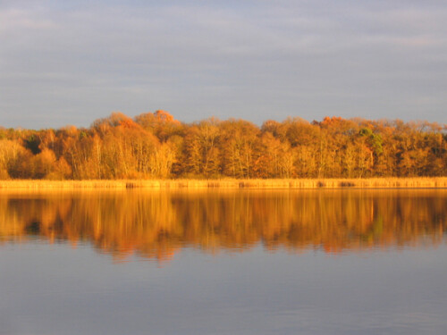 Wenn die Sonne am Abend untergeht und flach über den Sacrower See scheint, taucht sie das gegenüberliegende Ufer in ein Licht, das die Herbstfärbung des Waldes besonders betont.

Aufnameort: Sacrower See bei Potsdam
Kamera: Canon PowerShot A610