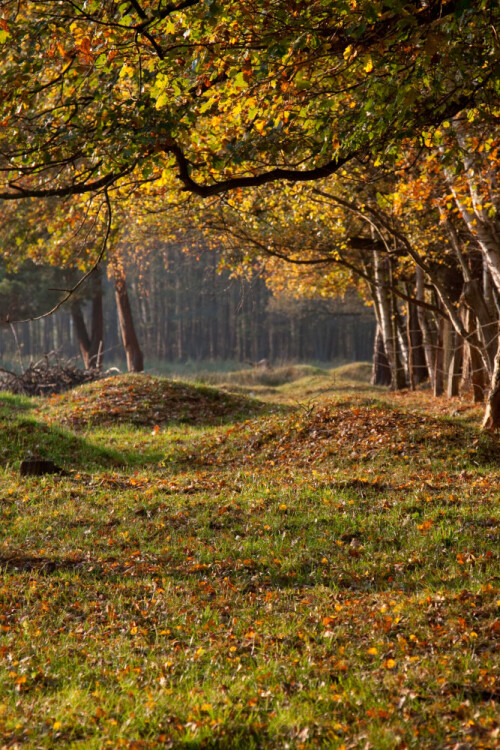 

Aufnameort: Wedemark
Kamera: Canon 50 D