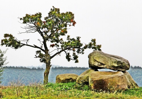 Hünen- oder Großsteingrab stammen in Norddeutschland meist aus der späten Jungsteinzeit(Spätneolithikum).
https://de.wikipedia.org/wiki/Großsteingrab

Aufnameort: In der Nähe von Rerik
Kamera: Canon EOS 1300D