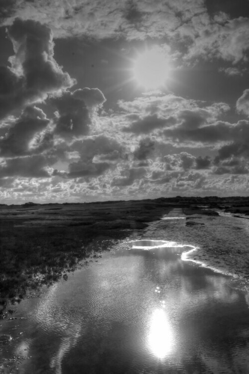 

Aufnameort: Insel Texel Niederlande
Kamera: Dynax 7D