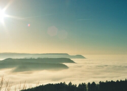 Bei Inversionswetterlagen bilden sich durch die kalten Luftschichten in Bodennähe dicke Nebelzonen. Darüber herrscht strahlender Sonnenschein und einige der langgestreckten Albberge tauchen daraus auf wie die Rücken von Riesenwalen über der See.

Aufnameort: Rossberg, Kreis Reutlingen; 12.12.2004
Kamera: Yashica FX-D, Bj. 1980; Obj. 50 mm