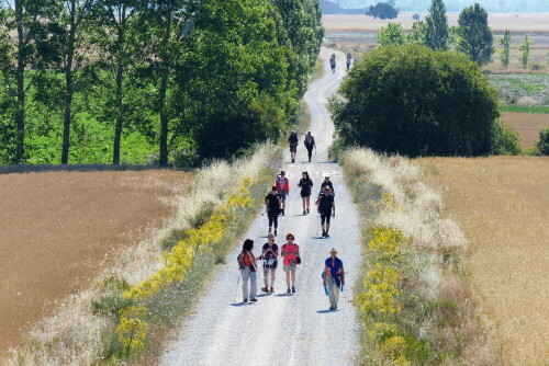 

Aufnameort: am Jakobsweg in Spanien
Kamera: Panasonic Lumix FZ 200