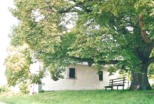 Absolute Harmonie zwischen Natur und Architektur vermittelt dieser stille Ort an der Straße zwischen Rangendingen und Hirrlingen.

Aufnameort: Rangendingen, Kreis Hechingen
Kamera: Yashica FX-D, Bj. 1980; Obj. 50 mm