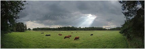 "komponiertes" panorama

Aufnameort: region hannover
Kamera: power shot pro 1