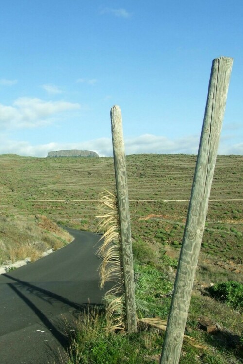 

Aufnameort: Gerian / La Gomera / Kanarische Inseln
Kamera: Fuji 6500fd