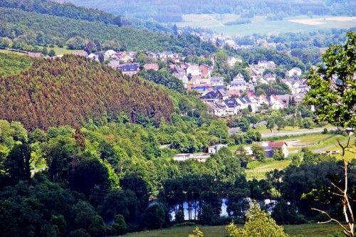 lohmuhlenweiher-sudostlich-von-eibelshausen-20889.jpeg