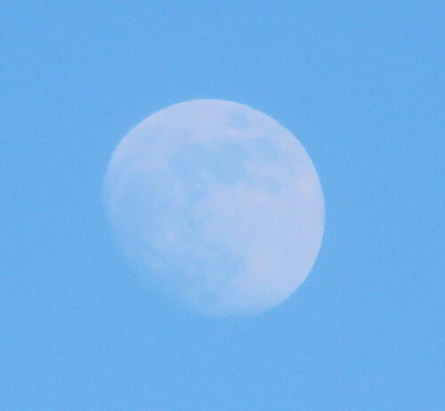 Der Mond als einziger Begleiter der Erde folgt einer Umlaufbahn, die der Erdumdrehung gleichsinnig von Westen nach Osten folgt.
https://de.wikipedia.org/wiki/Mond

Aufnameort: Frohnhausen Parkplatz Fitness Center
Kamera: Medion Camcorder