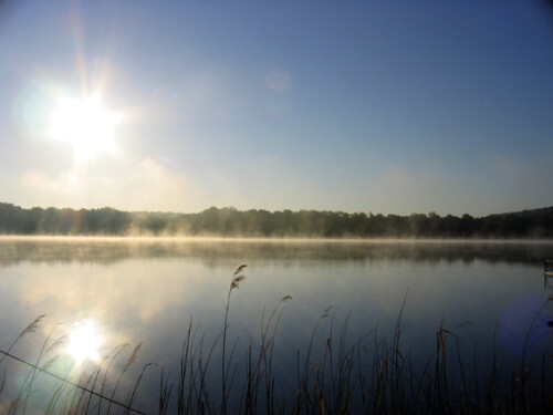 An ruhigen Morgen der ersten kühleren Herbsttage, wenn die Lufttemperatur deutlich unter der Wassertemperatur liegt, kann man beobachten, wie das Wasser des Sees „dampft“ und seine Wärme an die kalte Luft verliert.

Aufnameort: Sacrower See bei Potsdam
Kamera: Canon PowerShot A610