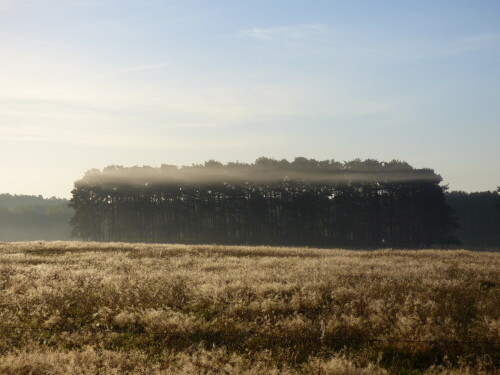 morgentliche-landschaft-12952.jpeg