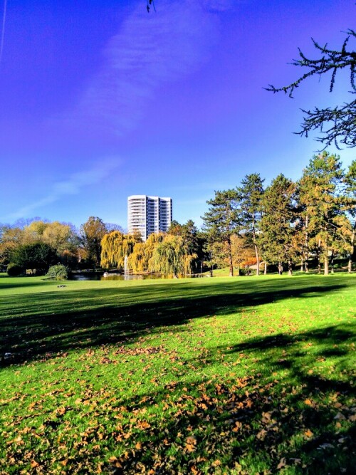 Die Parks und Grünflächen machen Städte erst lebenswert. Auch der Mülheimer Stadtpark ist eine kleine Oase, hier tummeln sich am Teich Stockenten, Nil- und Kanadagänse sowie Lachmöwen.

Aufnameort: Köln Mülheim
Kamera: Fairphone 2