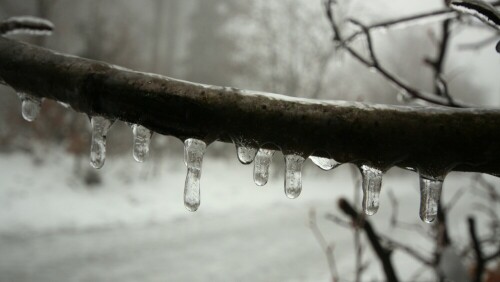 Eisregen und Nebel lassen neue Eindrücke entstehen

Aufnameort: Neunkircher-Höhe / Odenwald
Kamera: Canon 450 D