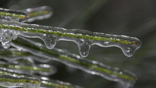 Eisregen und Nebel verwandeln die Landschaft

Aufnameort: Neunkircher-Höhe / Odenwald
Kamera: Canon 450 D